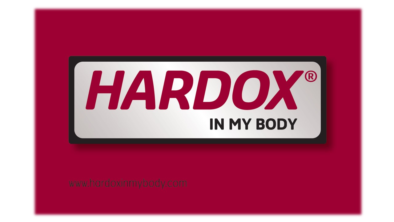 USB 4GB Hardox® In My Body 5pcs/packproduct zoom image #1