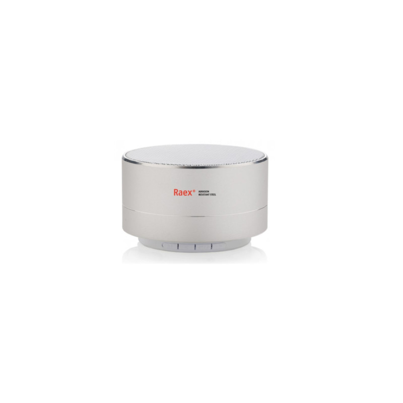 Wireless Speaker Raex® with pick up function