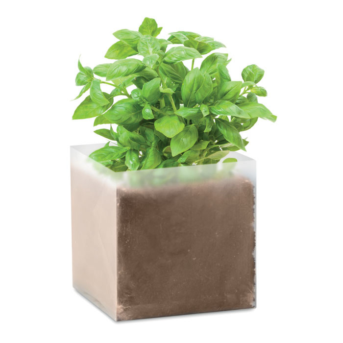 Seed pot Basil SSAB Fossil Free 6pcs/packproduct image #2